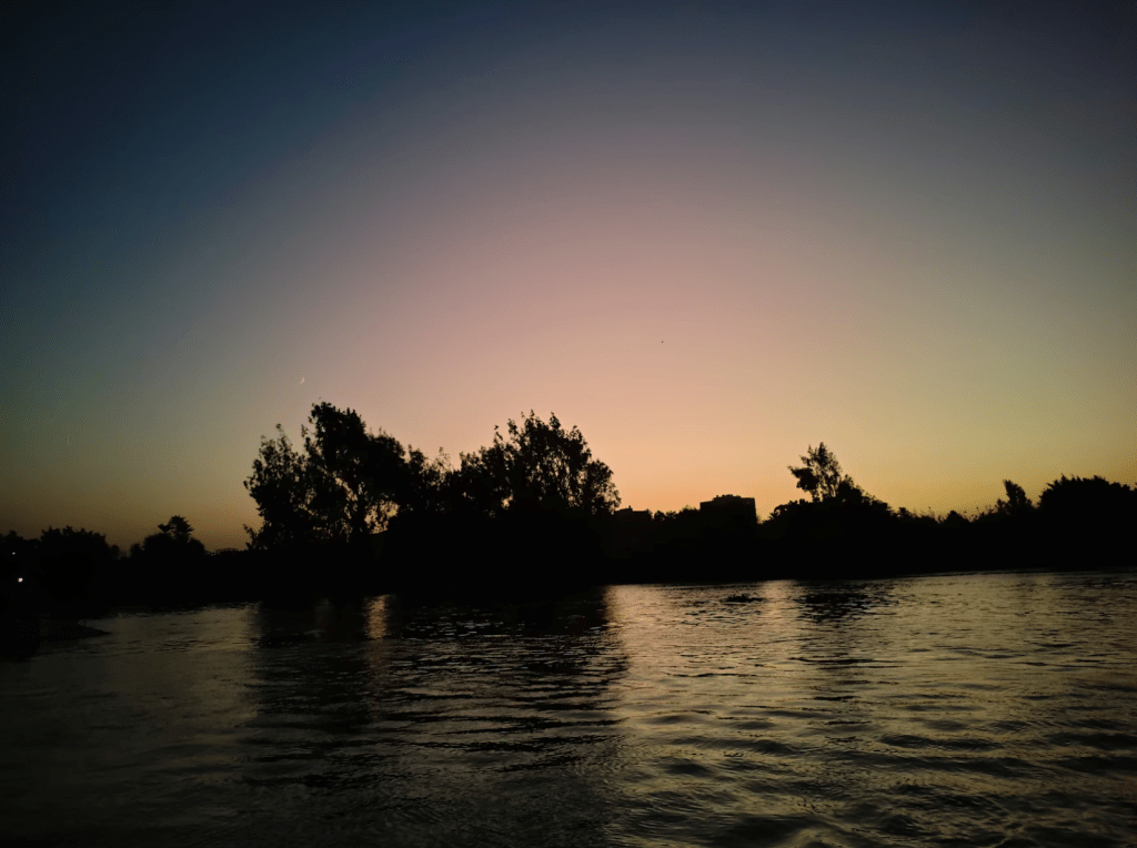 Searows’ “House Song” and “Dearly Missed”: A Stark and Quiet&nbsp;Beauty